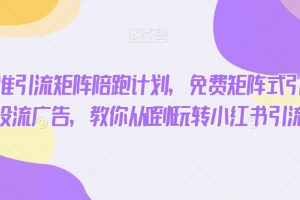 小红书精准引流矩阵陪跑计划，免费矩阵式引流，付费投流广告，教你从0到1玩转小红书引流