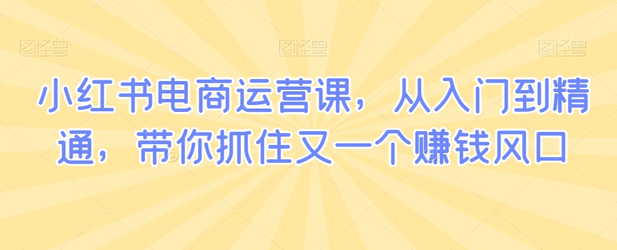 小红书电商运营课,从入门到精通,带你抓住又一个赚钱风口插图 小红书电商运营课,从入门到精通,带你抓住又一个赚钱风口
