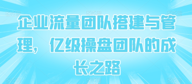 企业流量团队搭建与管理,亿级操盘团队的成长之路插图 企业流量团队搭建与管理,亿级操盘团队的成长之路