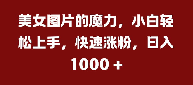 美女图片的魔力,小白轻松上手,快速涨粉,日入几张【揭秘】插图 美女图片的魔力,小白轻松上手,快速涨粉,日入几张【揭秘】