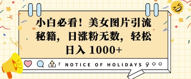 小白必看,美女图片引流秘籍,日涨粉无数,轻松日入几张【揭秘】插图 小白必看,美女图片引流秘籍,日涨粉无数,轻松日入几张【揭秘】