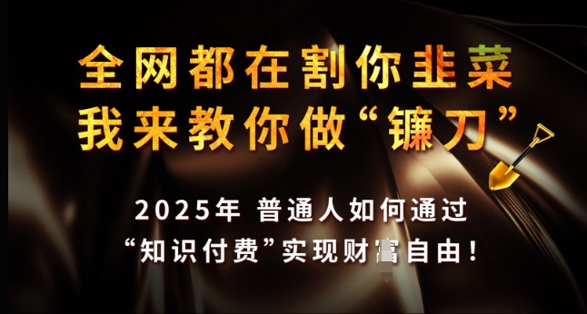 全网都在割你韭菜,我来教你做镰刀,2025年普通人如何通过 知识付费 实现财F自由【揭秘】插图 全网都在割你韭菜,我来教你做镰刀,2025年普通人如何通过 知识付费 实现财F自由【揭秘】