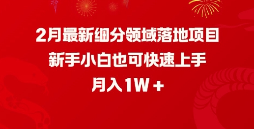 2月最新细分领域落地项目,新手小白也可快速上手,月入1W插图 2月最新细分领域落地项目,新手小白也可快速上手,月入1W