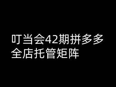 叮当会拼多多打爆班原创高阶技术第42期,拼多多全店托管矩阵插图 叮当会拼多多打爆班原创高阶技术第42期,拼多多全店托管矩阵