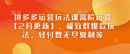 拼多多运营玩法课高阶运营【2月更新】,极致群爆款玩法,轻付费无尽复制等插图 拼多多运营玩法课高阶运营【2月更新】,极致群爆款玩法,轻付费无尽复制等
