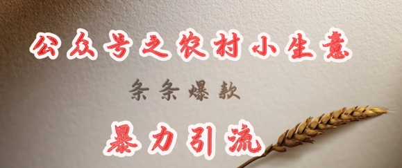 deepseek写农村小项目,条条爆款,暴力引流插图 deepseek写农村小项目,条条爆款,暴力引流