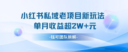 小红书私域项目新玩法,单月变现过W+插图 小红书私域项目新玩法,单月变现过W+