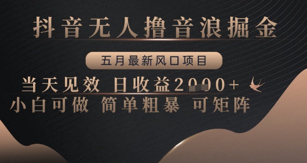 抖音无人撸音浪掘金,五月最新风口项目,当天见效,日收益多张,小白可做简单粗暴可矩阵【揭秘】插图 抖音无人撸音浪掘金,五月最新风口项目,当天见效,日收益多张,小白可做简单粗暴可矩阵【揭秘】