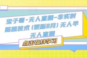 宝子哥·无人直播-非实时防风技术(更新25年6月)无人半无人直播